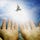 Go to the profile of Opening A minD