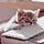 Go to the profile of boring spoon
