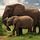 Go to the profile of Wildlife Watch