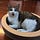 Go to the profile of Sushi He