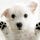Go to the profile of Stephanie Zalinski