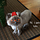 Go to the profile of Clay-er