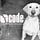 Go to the profile of CodeTalent