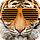 Go to the profile of After School