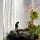 Little Lives