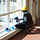 Go to the profile of Sydney Cleaning Associati