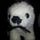 Go to the profile of Polar Nightcap