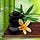 Go to the profile of Fertility Spa