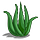 Go to the profile of AloesVera.co