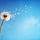 Ambiente y Desarrollo Sustentable