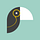 Toucan Toco