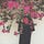 Go to the profile of noura
