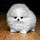 Go to the profile of andrew_wilson68