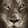 Go to the profile of e-Lionne
