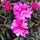 Love Your Home and Garden