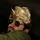 Go to the profile of David K.