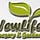 Go to the profile of newlifenursery