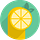 The Lemon Scope