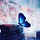 Go to the profile of Flutterfly