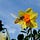 Go to the profile of Karen Chui Photography