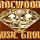 Go to the profile of Rocwood music
