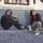 Go to the profile of Emilie Lehr