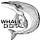 Go to the profile of Whale Digital