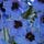 Go to the profile of John Connors, Plantaday