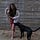 Go to the profile of Nicole Gumbiner
