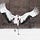 Crane — Taking Flight
