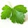 Go to the profile of Coriander Group