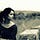 Go to the profile of Ritu Prakash
