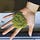 MORE MOSS