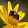 Go to the profile of Beyond Toxics