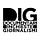 DIG awards