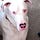 Go to the profile of Tara Garrett Houser
