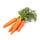 Healthy Seasonal Cooking