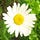 Go to the profile of shelly_i