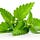 Natural Treatment Pills