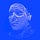 Go to the profile of Steve Fraschini