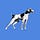 Go to the profile of Birdog
