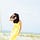 Go to the profile of Lisa Dinh