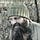 Go to the profile of Matthew Newsome
