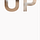 Go to the profile of Elevator Up