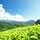 Go to the profile of Kerala Trip