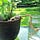 Go to the profile of GardenTips.Me