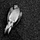 Go to the profile of a4horism