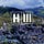 Go to the profile of U.S. at Habitat III