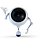 Social Robots
