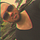 Go to the profile of Mateus Andrade